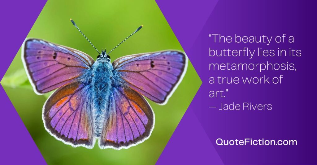 Beautiful Butterfly Quotes