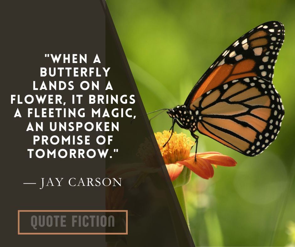 Quotes About Butterflies and Nature