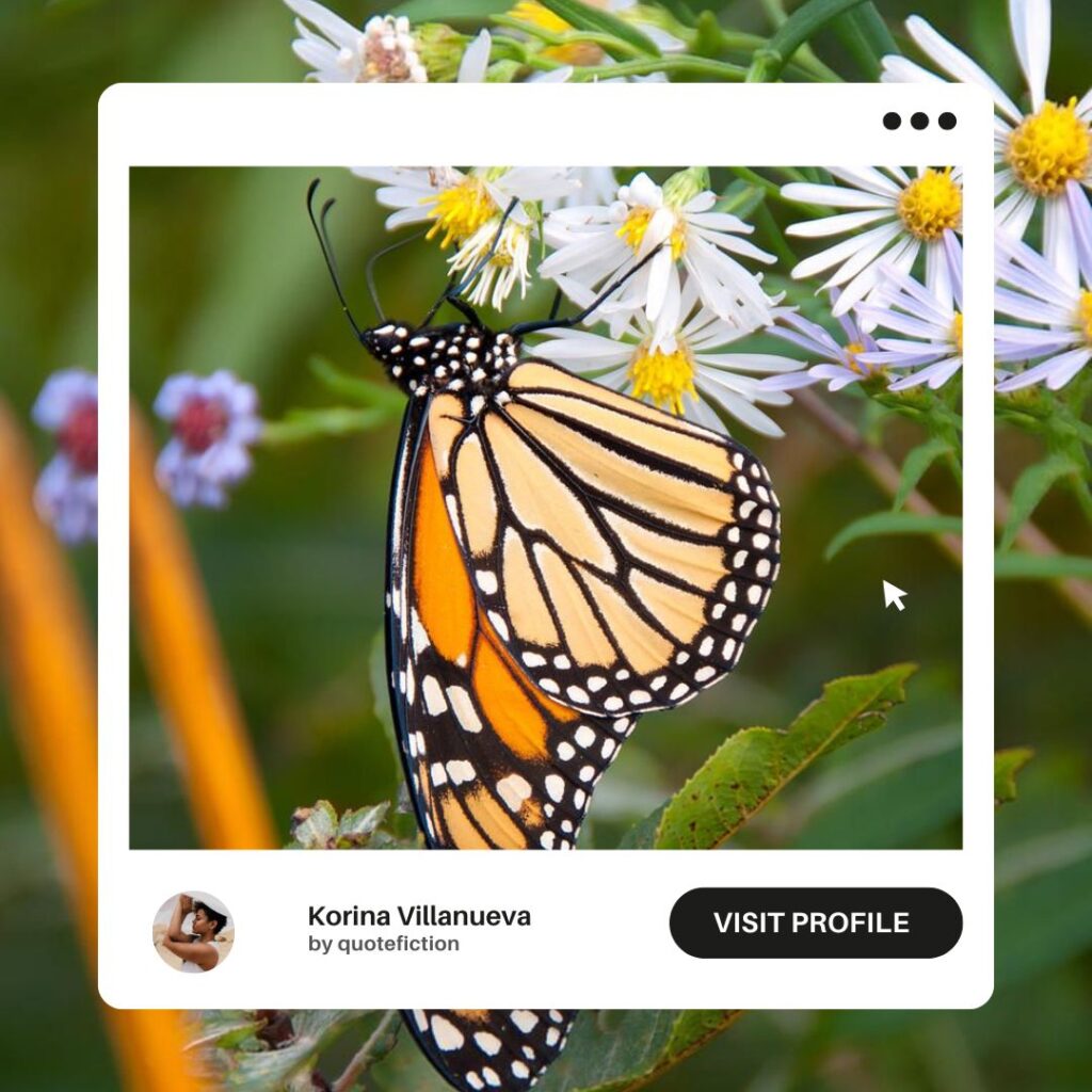 Butterfly Captions for Instagram