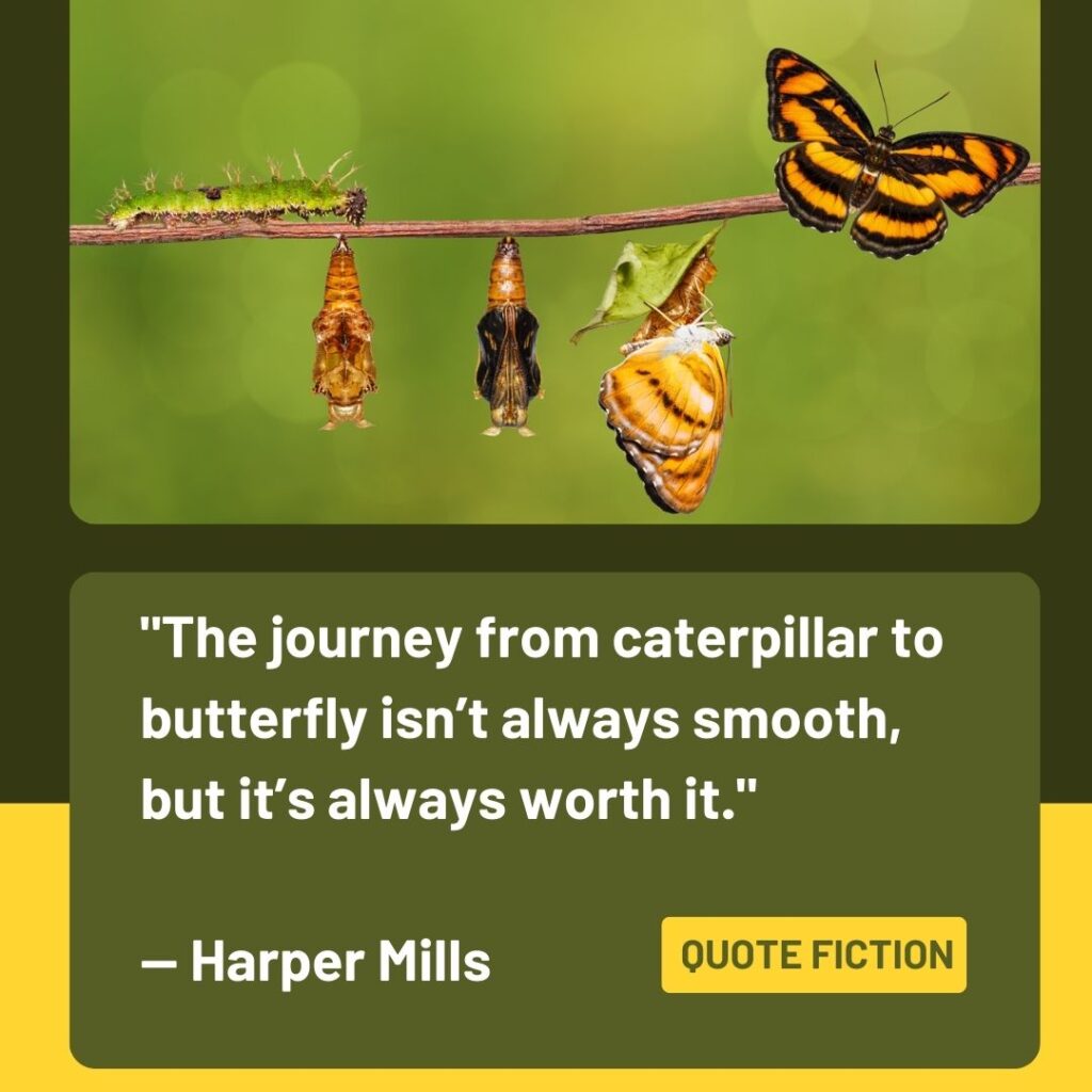 Quotes About Butterfly and Life