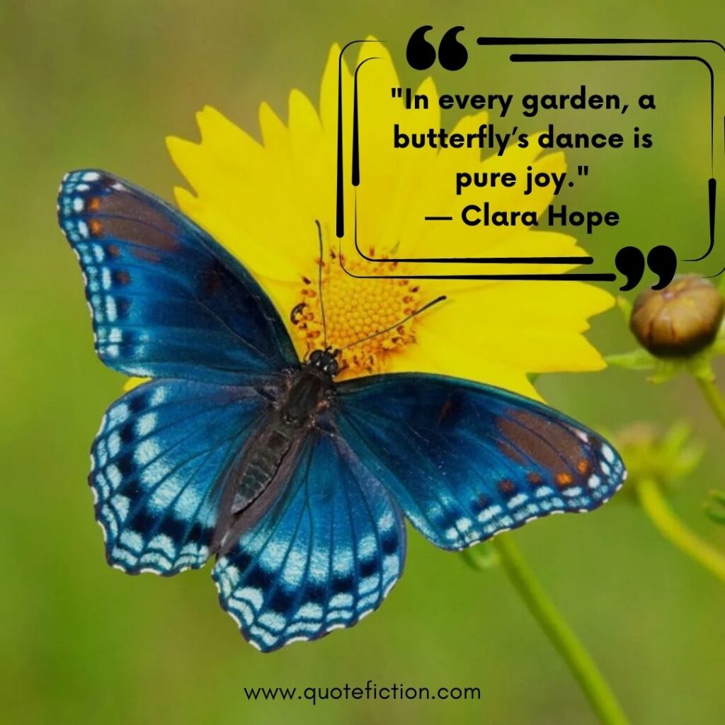 Butterfly Quotes Short