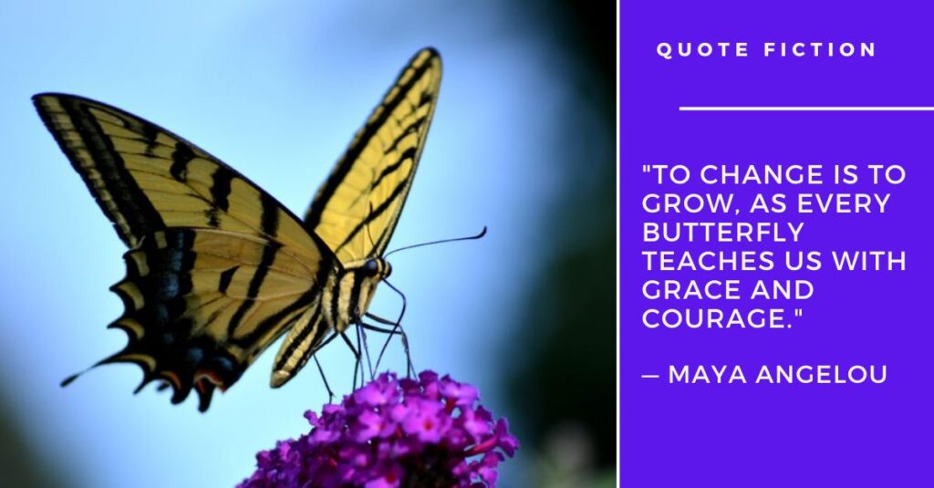 Maya Angelou Butterfly Quotes