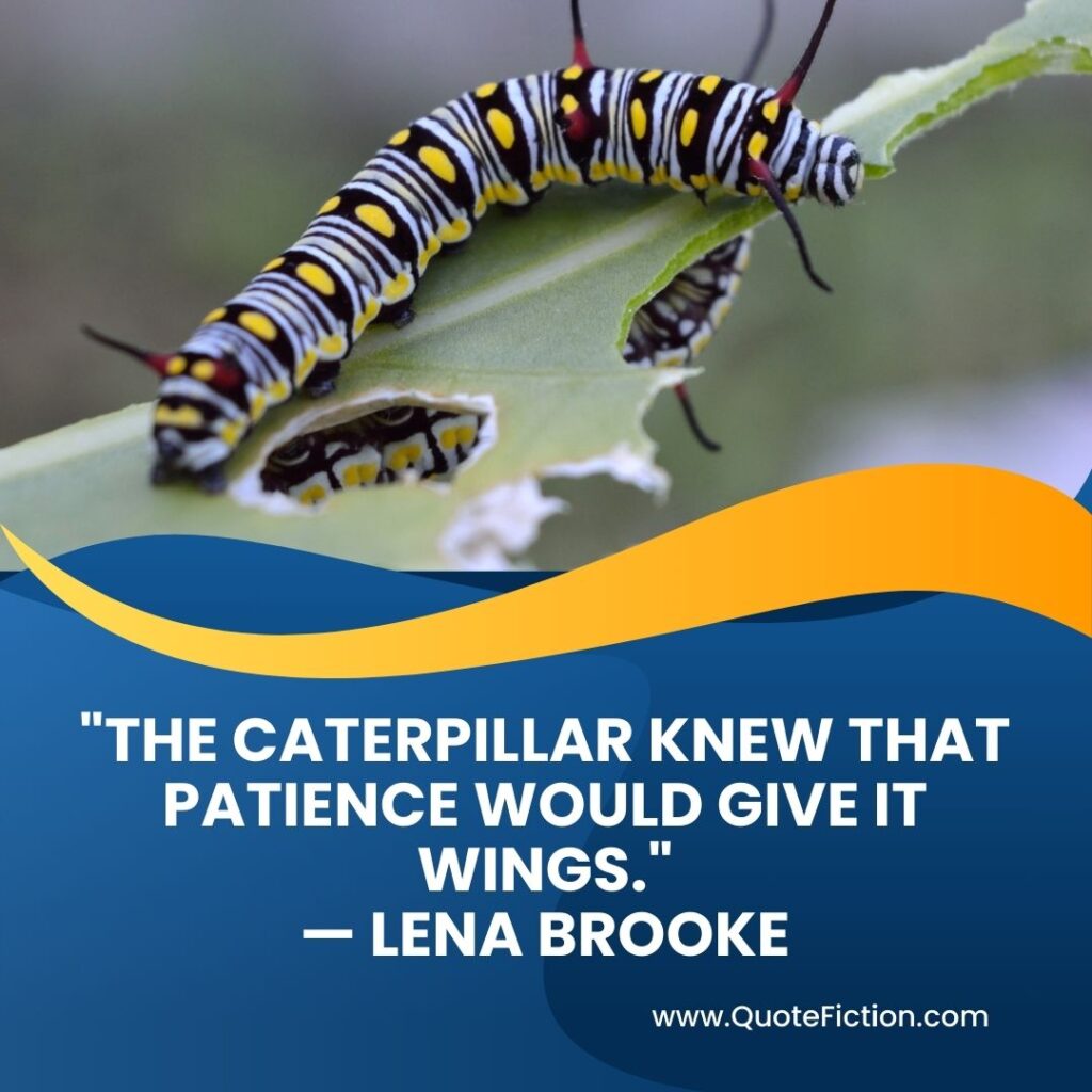 Caterpillar and Butterfly Quotes