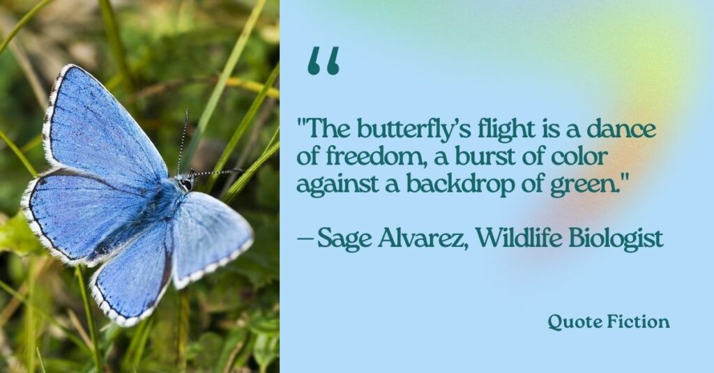 Cute Butterfly Quotes