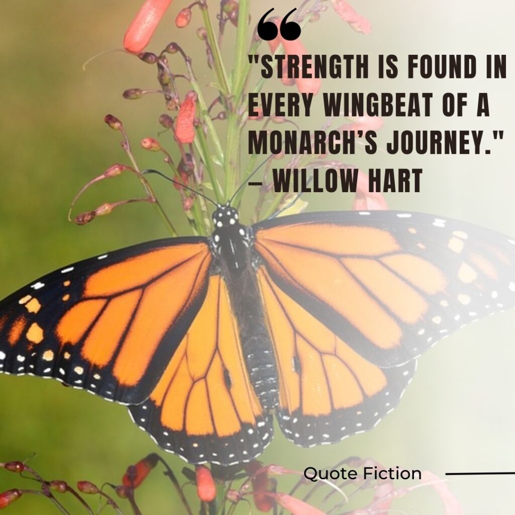 Monarch Butterfly Quotes