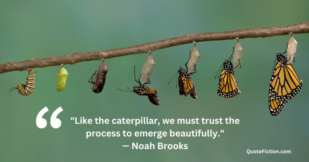 Caterpillar Butterfly Quotes